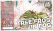 Myjava - Hellstork - Tree Frog In Fog